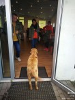 智利队惊险夺季军，赢得欧洲杯殿军头衔